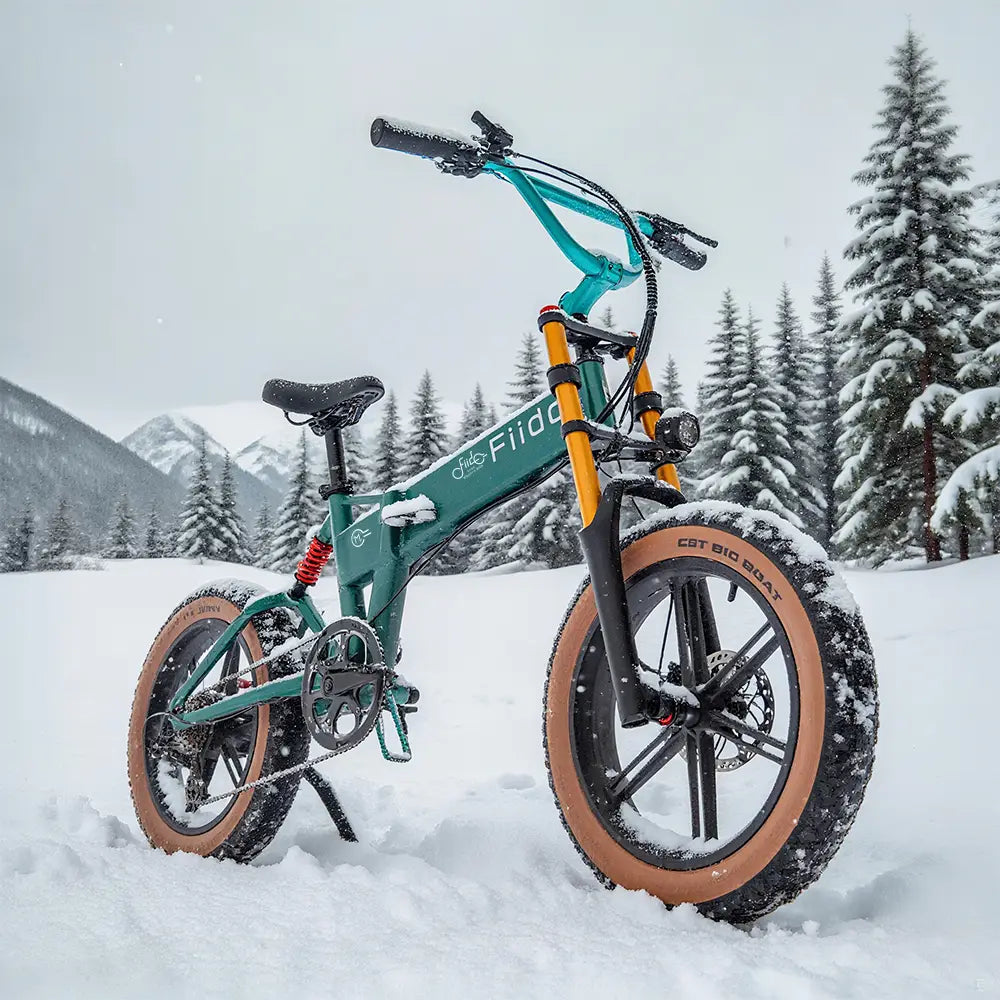 Fiido M1 Pro Fat Tire Electric Bike