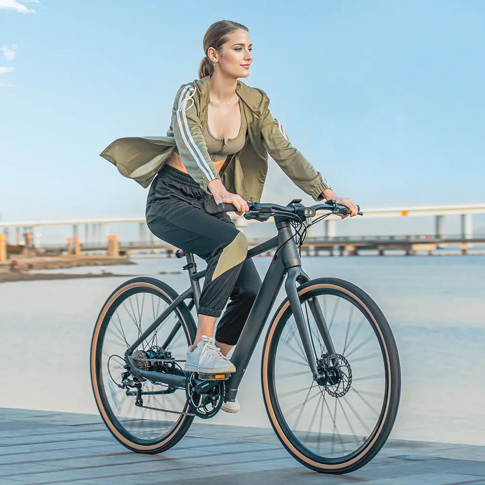 Fiido C21 Gravel & City E-Bike