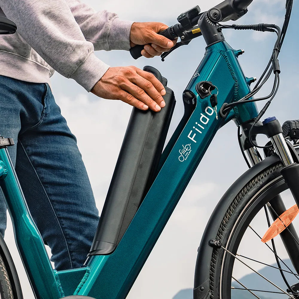 fahrrad franz e-bikes Fiido C11 City E-Bike
