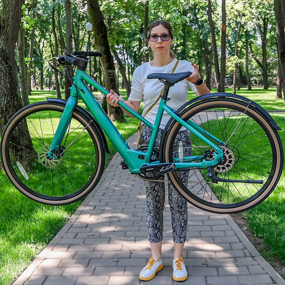 fiido e-gravel c22 elektrofahrrad Fiido C22