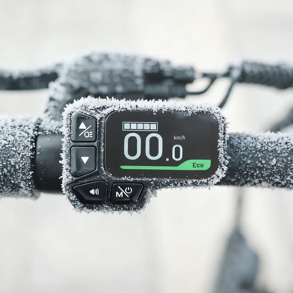 Fiido D3 Pro Mini Electric Bike