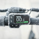 Fiido D3 Pro Mini Electric Bike