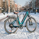 Fiido C11 Pro City E-Bike