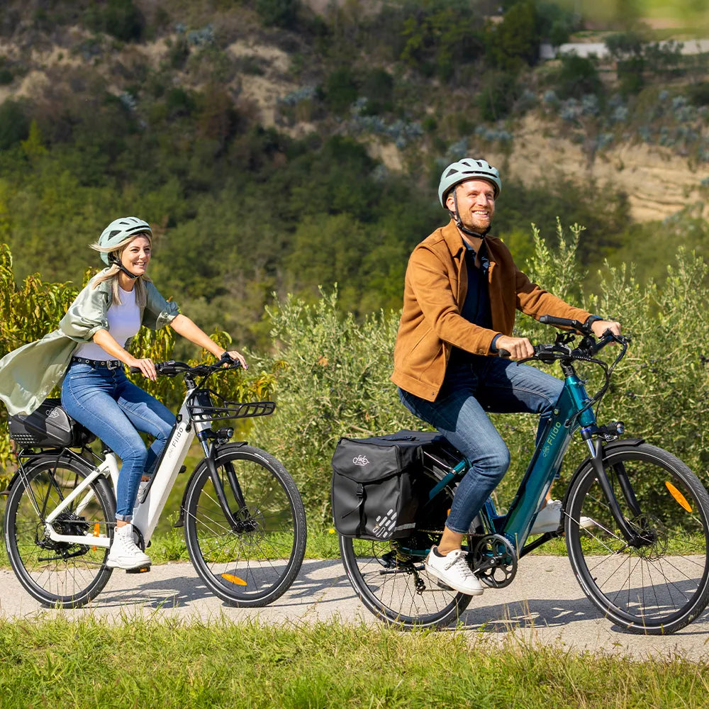 city electric bicycle Fiido C11 City E-Bike
