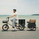 Fiido T3 Max Longtail Cargo E-Bike