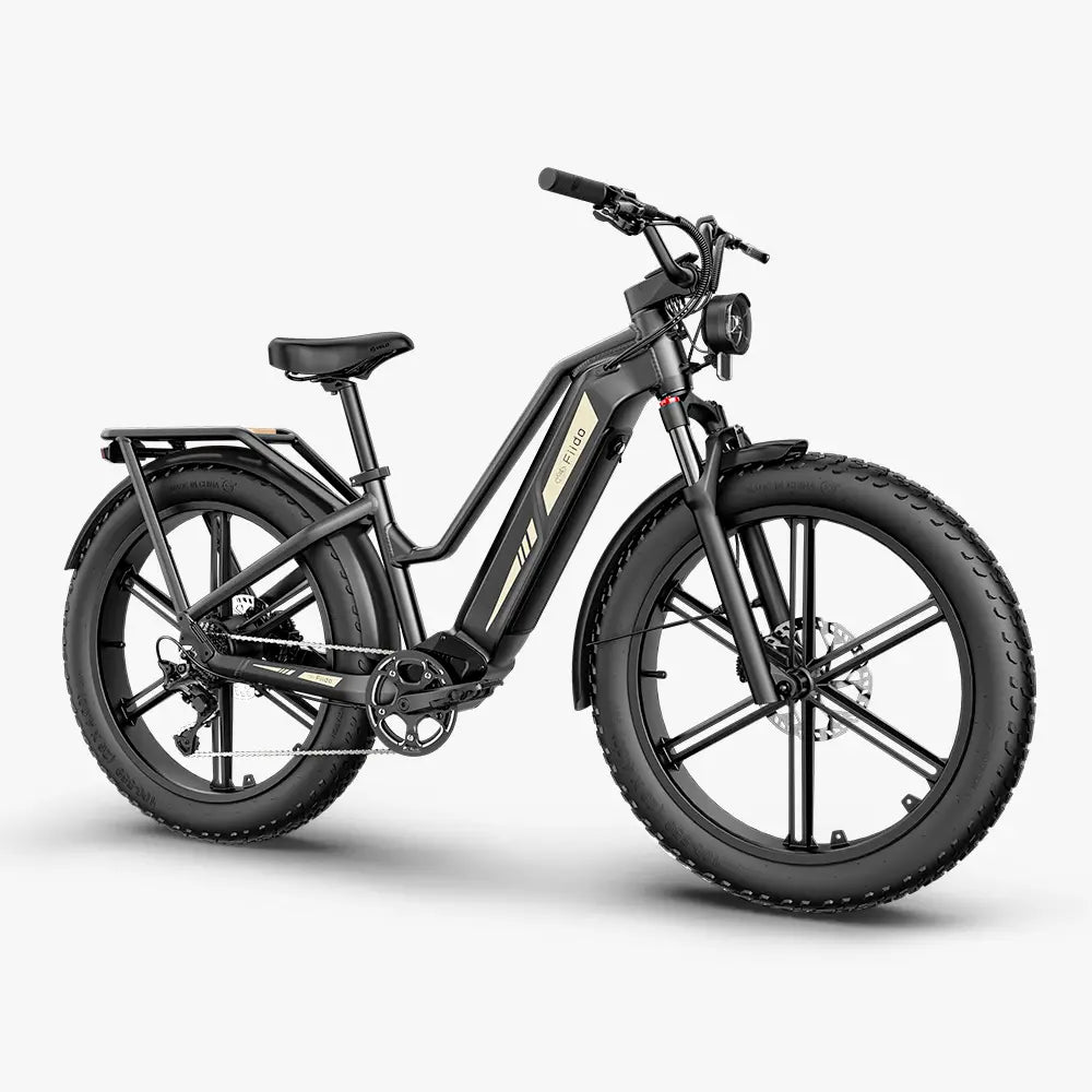 Fiido Titan Long Range E-Bike, 345km, 696Wh Battery, Hydraulic Brakes, Fat Tires