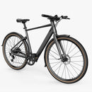 Fiido C21 Gravel & City E-Bike