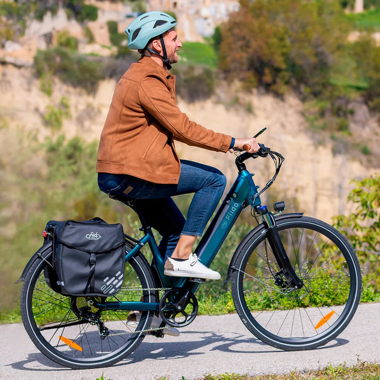 Fiido C11 Pro City E bike fiido-c11-pro-city-e-bike
