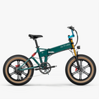 Fiido M1 Pro Fat Tire Electric Bike