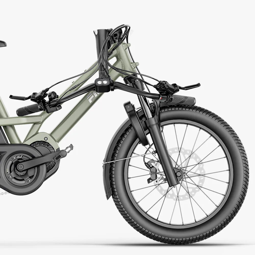 Fiido T3|Cargo E-Bike 100Nm Motor|972Wh Battery|150kg Payload|116.2 miles range