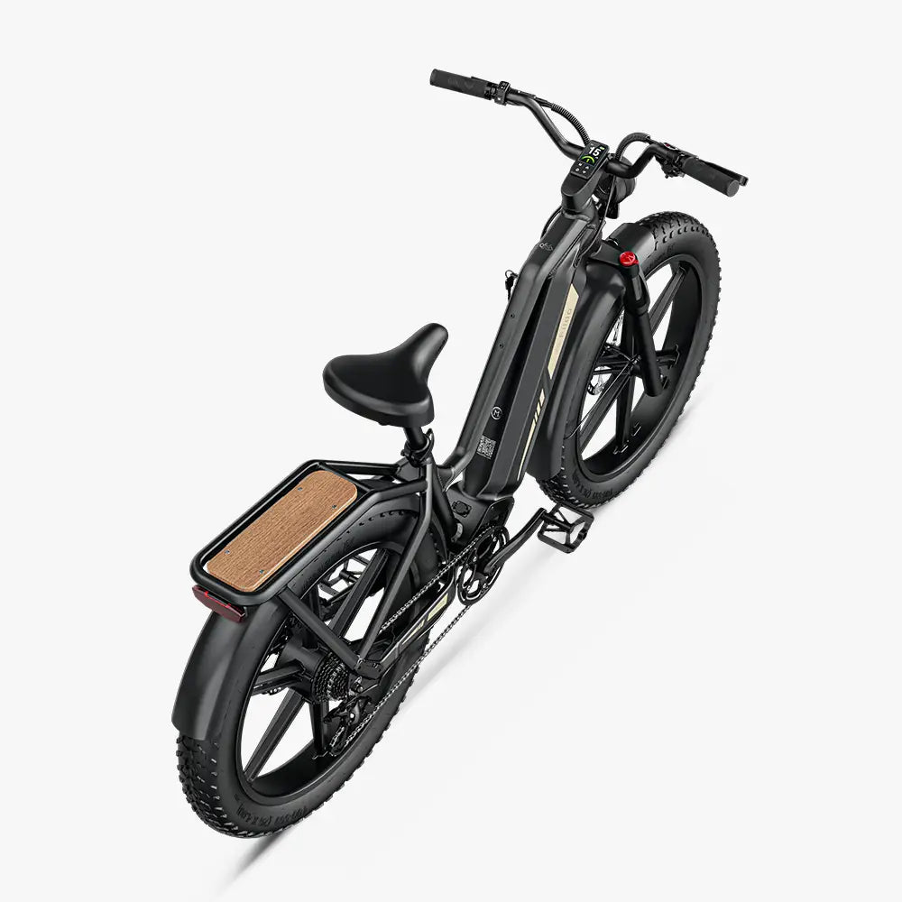 fahrradverleih elektrofahrrad Fiido Titan