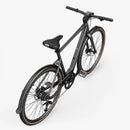 Fiido C21 Gravel & City E-Bike