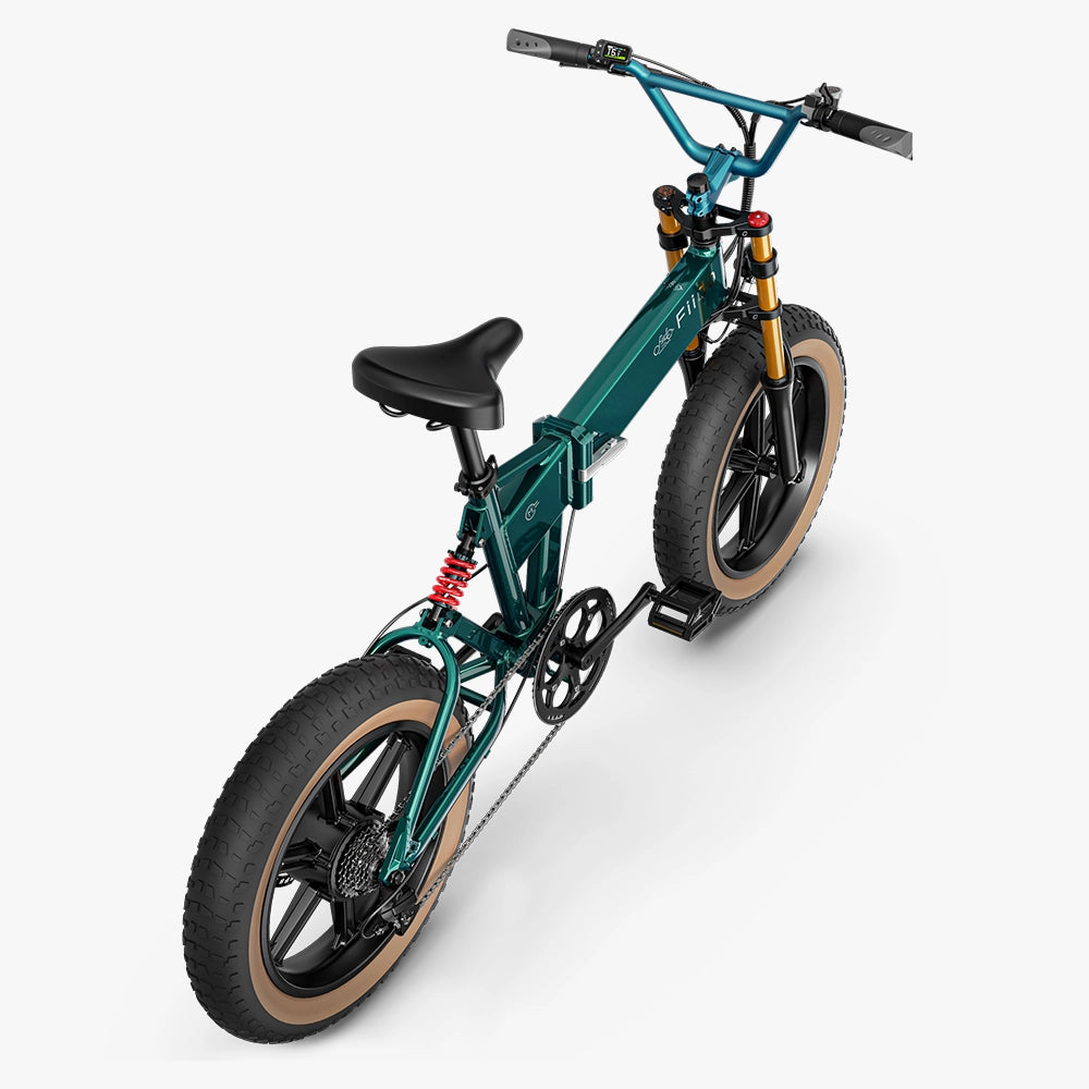 Fiido M1 Pro Mountain Folding EBike with Fat Tire