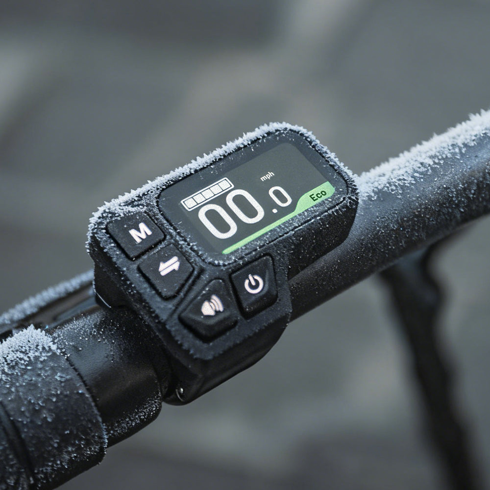 Fiido L3 Long Range Electric Bike