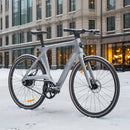 Fiido Air Ultra-Light Carbon Fiber E-Bike