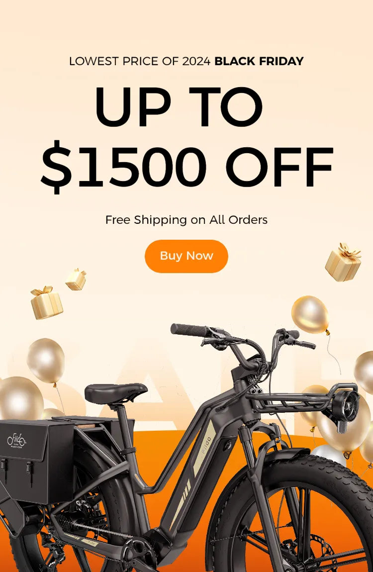 Best Electric Bike Brand Online Shop Fiido Company