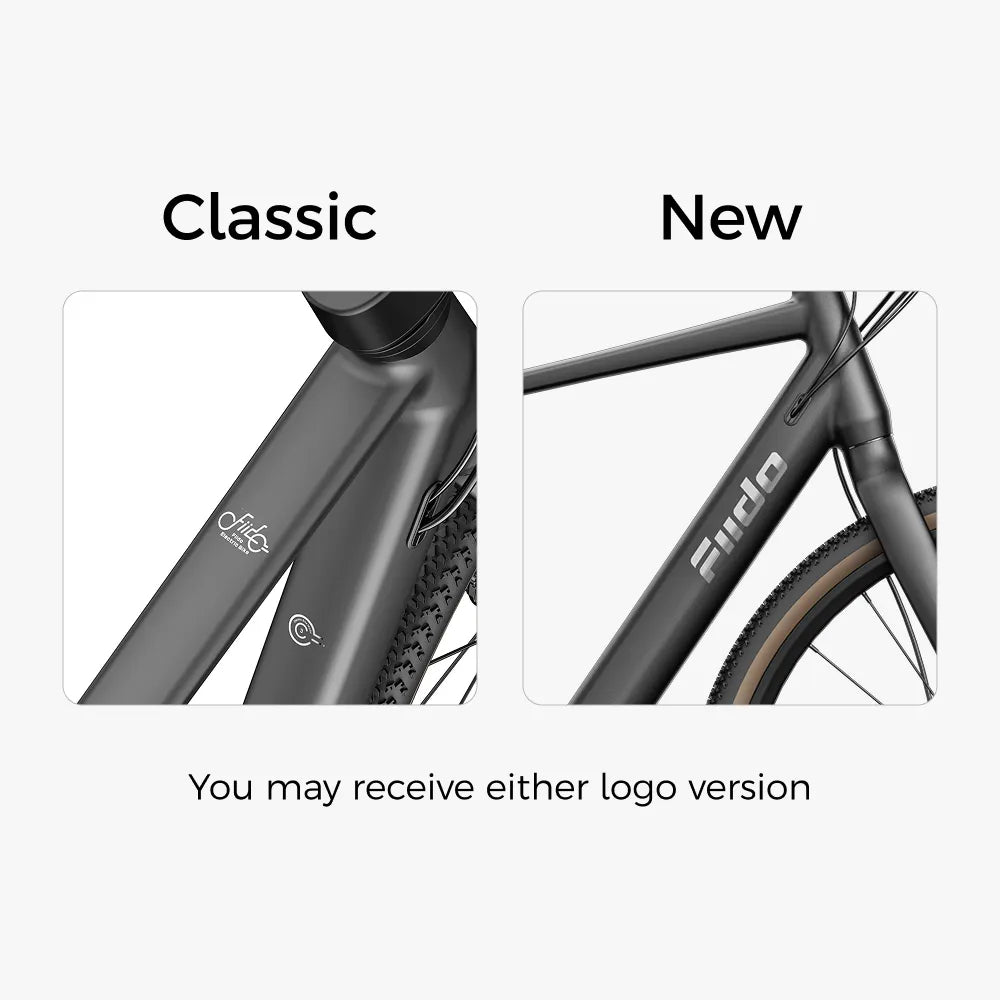 Fiido C21 - Lightweight Gravel Step Through Urban Ebike