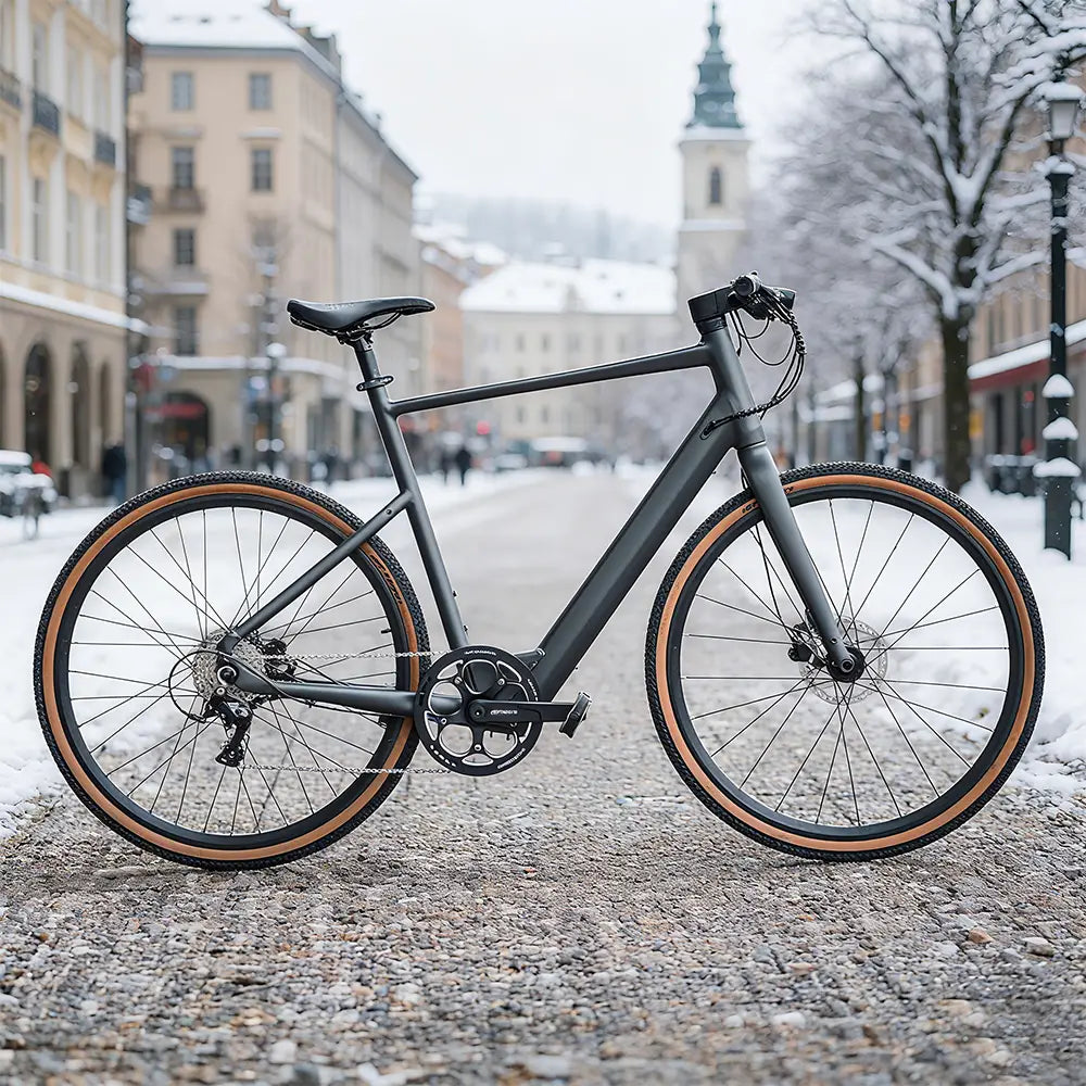Fiido C21 Gravel & City E-Bike