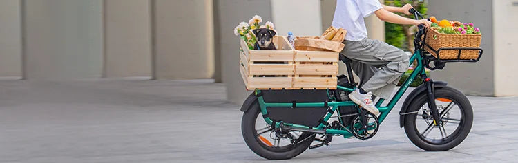 A woman goes shopping on a Fiido T2 cargo electric bike