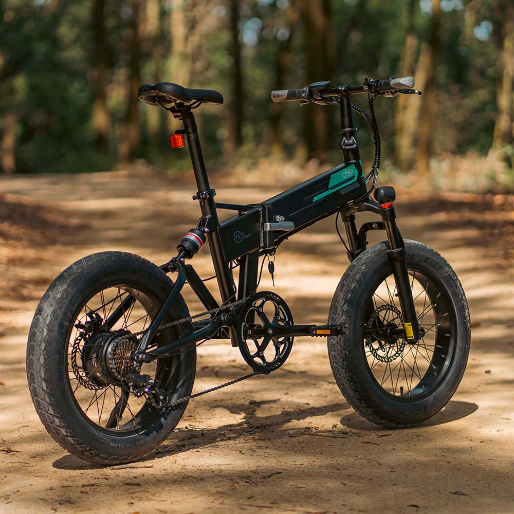 Fiido M1 Pro - Fat Tire Folding Electric Bikes in the Woods Rear View