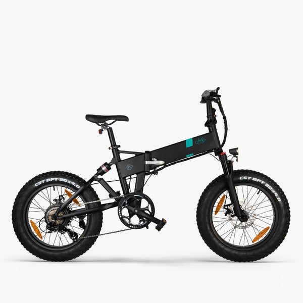 FIIDO Q1 PET Custom Build Electric Bike - Personal Electric Transport
