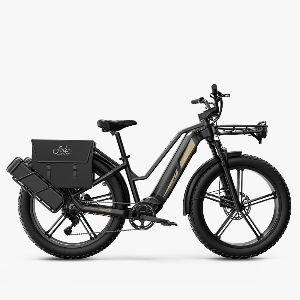 Fiido Titan Robust Cargo Electric Bike with Bag and Front Basket