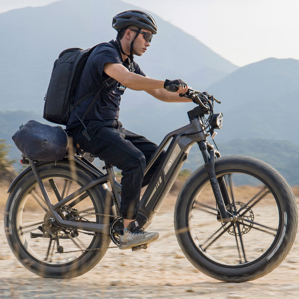 Man rides Fiido Titan Robust Cargo Electric Bike in the sand