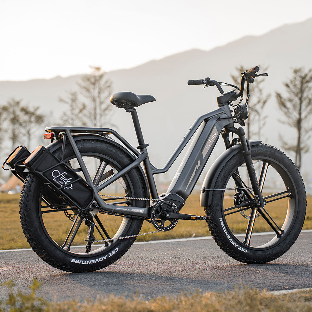 Fiido Titan Robust Cargo Electric Bike on the greenway