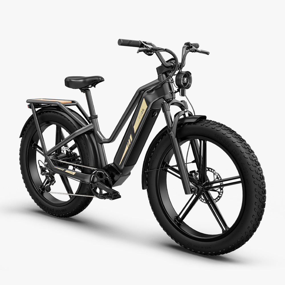 Fiido Titan Robust Cargo Electric Bike right side view