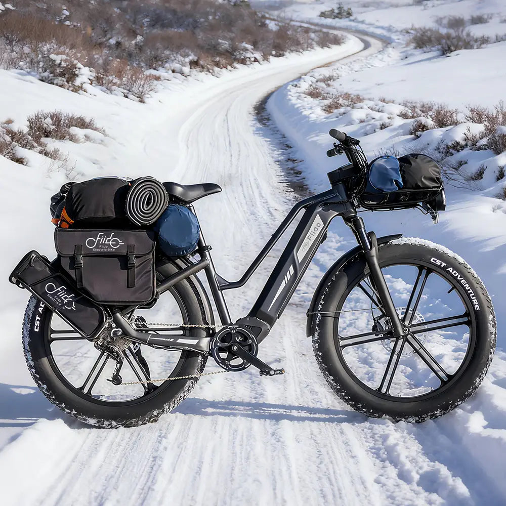 Titan Fat Tire Touring Ebike - Long Range