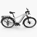 Fiido Nomads Pro Touring E-bike
