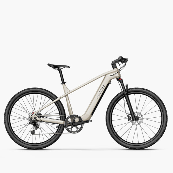 Fiido Nomads Touring E-bike