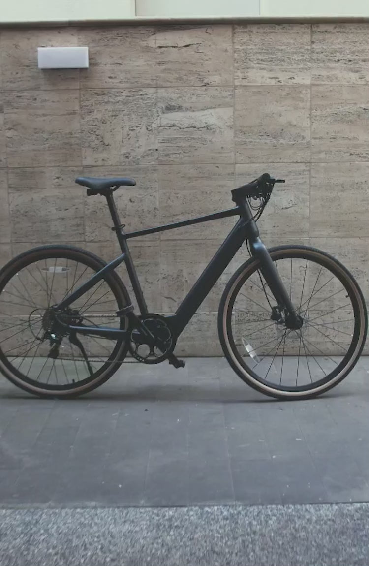 fiido e-gravel c21 elektrofahrrad Fiido C21