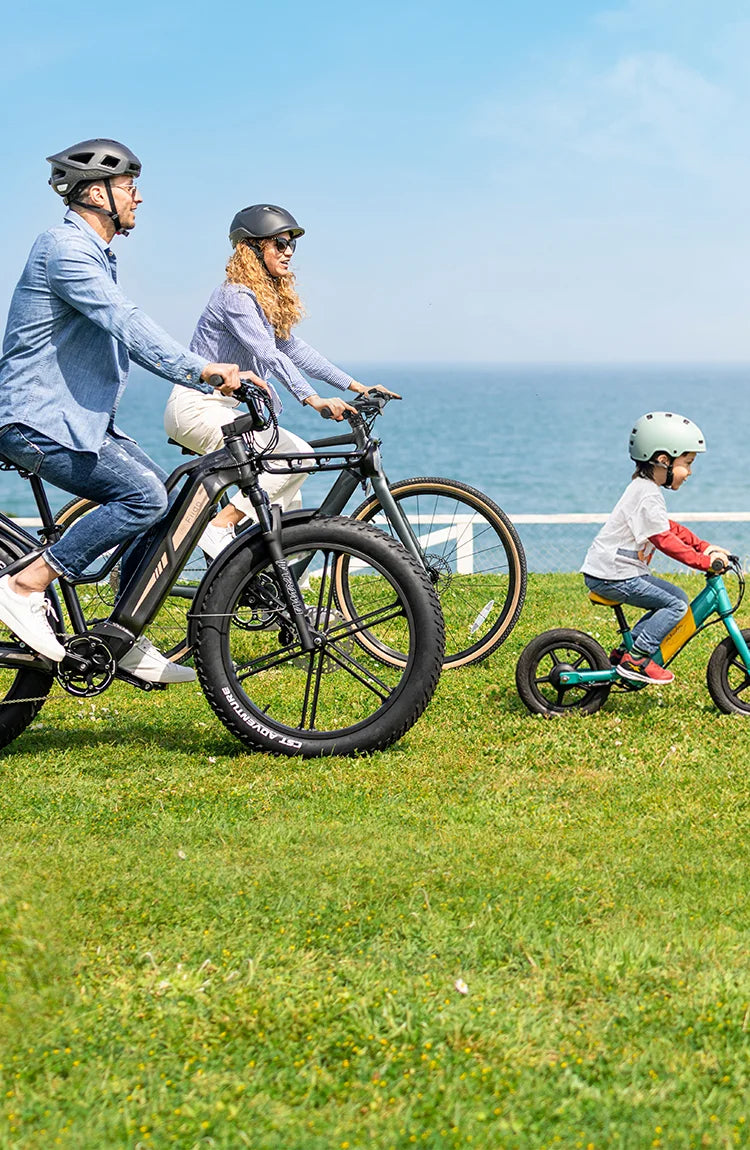 Online bike dealer shop