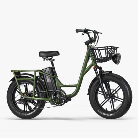 Fiido T1 Pro Utility Electric Bike