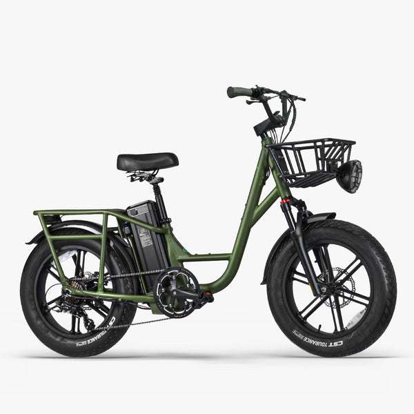 Fiido T1 Pro Utility Cargo Ebike with Fat Tires