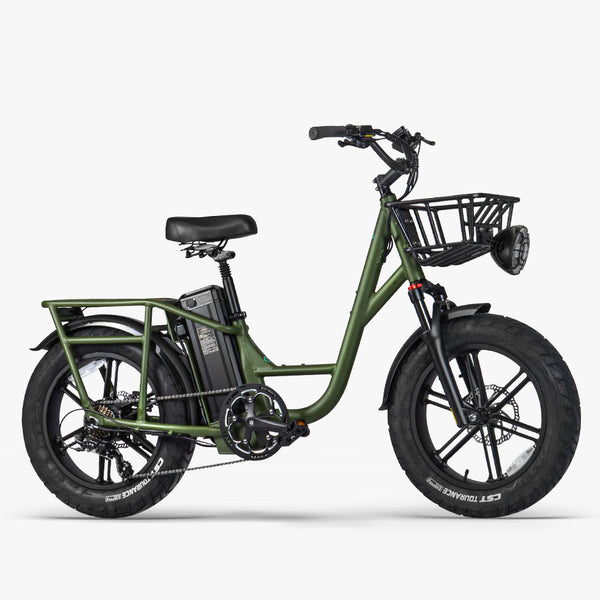 Fiido T1 Pro: Powerful Electric Cargo Bike with Fat Tires