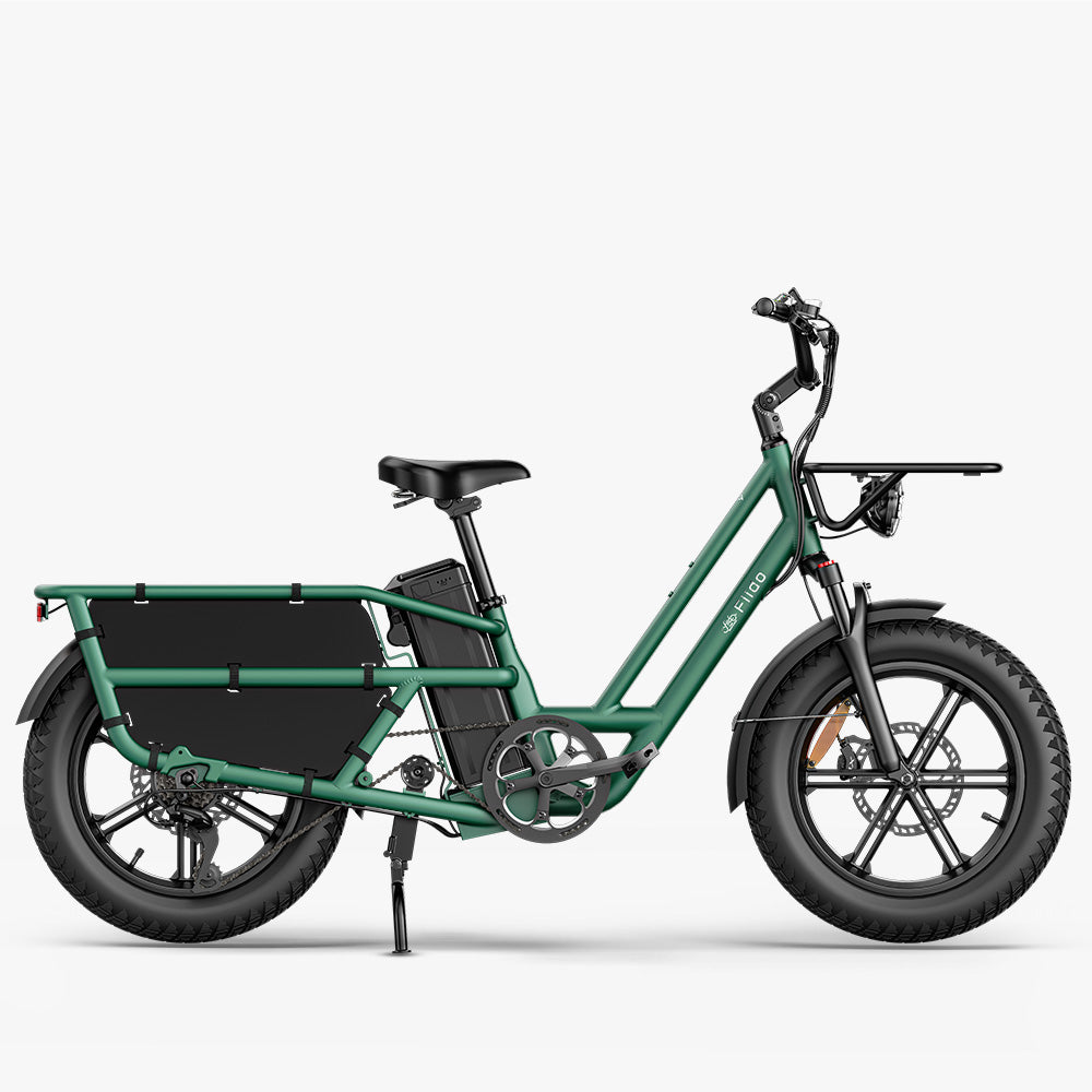 Two Seater Electric Bike Two Seater Electric Bike