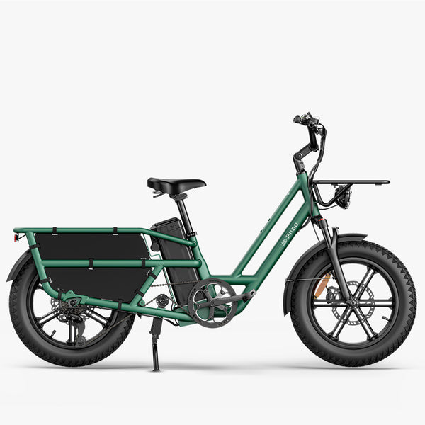 Fiido T2 Longtail Cargo E-Bike Green