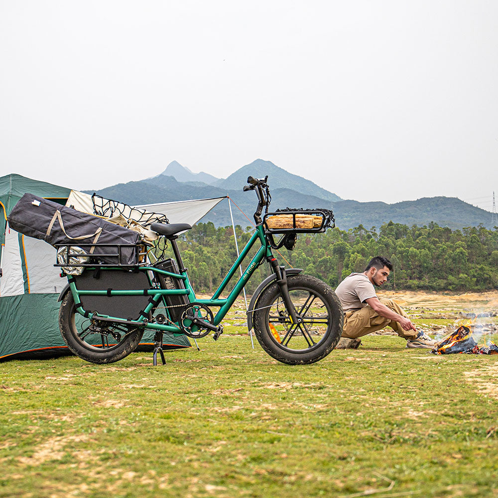 Fiido T2 Long Tail Cargo Electric Bike Parked on the Grass