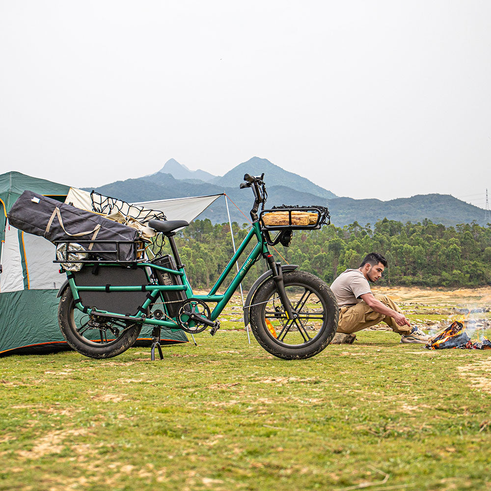 cargo electric bicycles Fiido T2 Electric Cargo Bike: 440 lbs Payload, 85 Miles Long Range