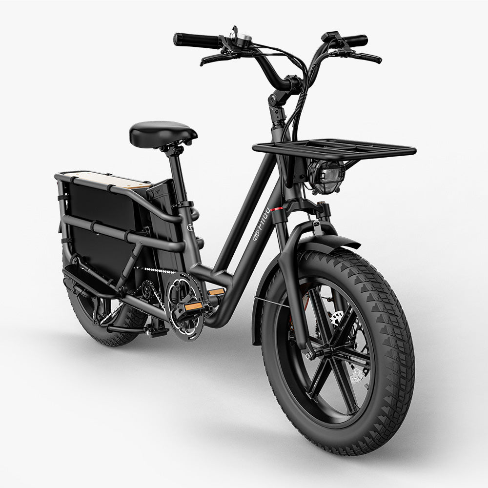 Fiido T2 Long Tail Cargo Electric Bike Black Front View