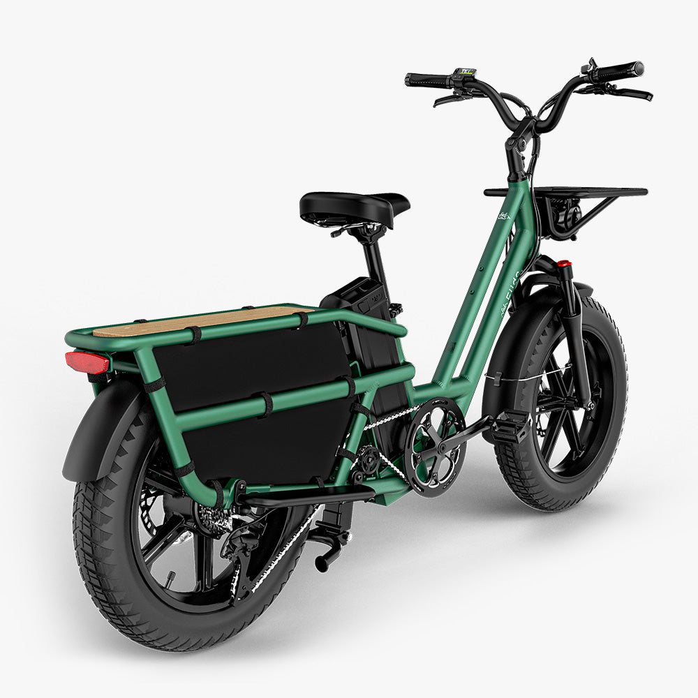 Fiido T2 Long Tail Cargo Electric Bike Green Rear View