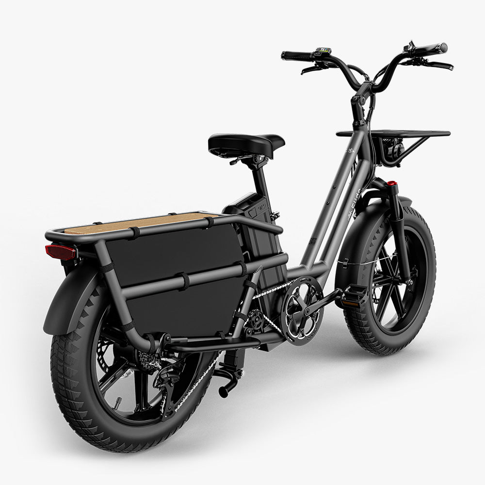Fiido T2 Long Tail Cargo Electric Bike Black Rear View