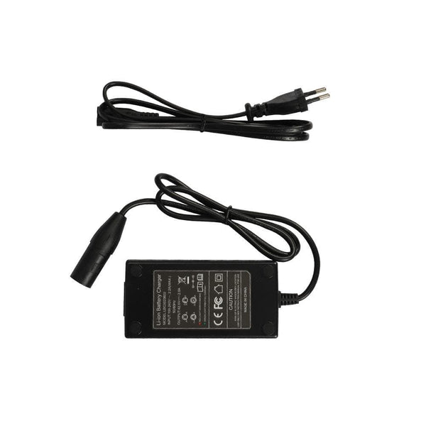 Fiido Charger for D3 D3S D3 pro