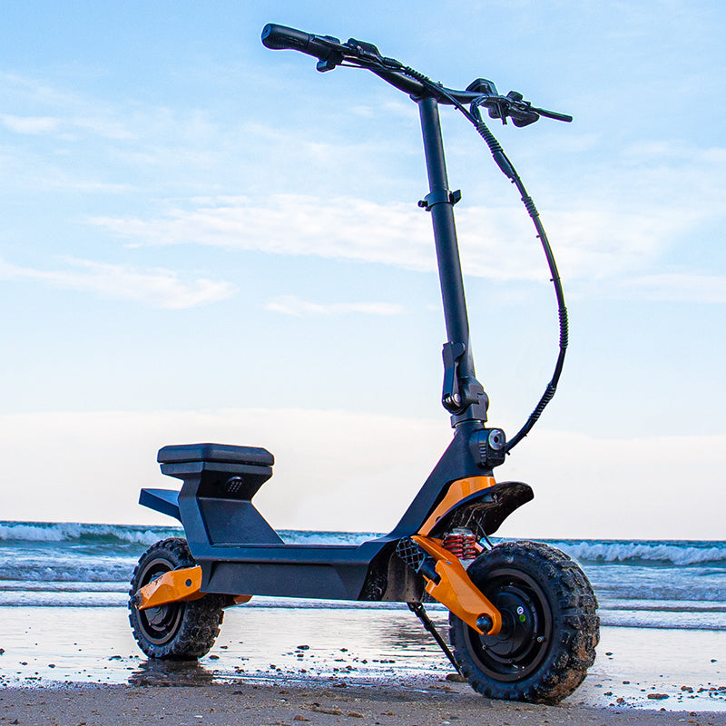 Fiido Beast Electric Scooter at the beach